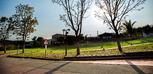 Map of the School Campus